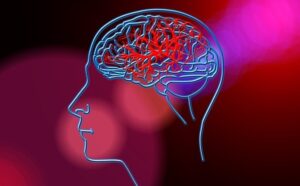 世界脳卒中デー 2025｜一分一秒が命を救う ― “FAST” で行動しよう！