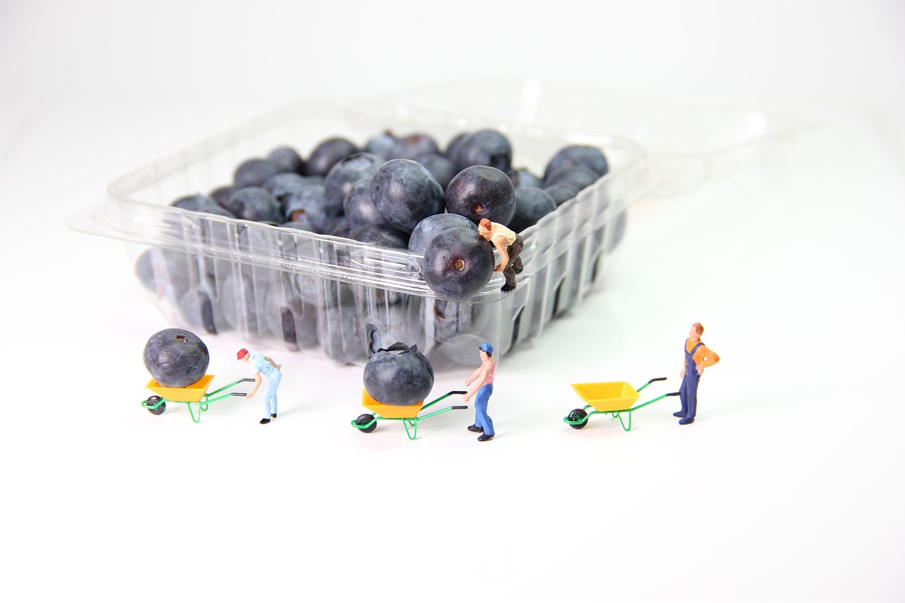 高齢者が歩くと疲れやすい理由とは？加齢による歩行効率の変化と対策｜【健常高齢者編】疲れやすさと歩行効率シリーズ②