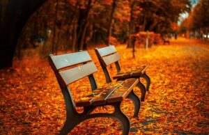 立ち上がれない原因とは？脳卒中・高齢者に多い理由と改善のポイント